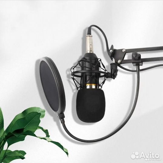 Микрофон BM-800 KIT студийный с фантомным питанием