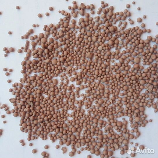 Аммафос 12:52