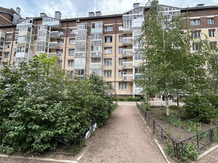 1-к. квартира, 34,5 м², 1/7 эт.