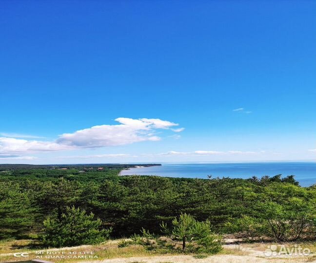 Из Светлогорска на Куршскую косу. Высота Мюллера