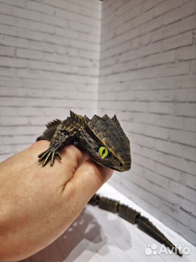 Ящерица (дракон) игрушка антистресс