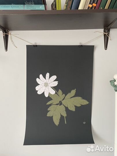 Плакаты постеры