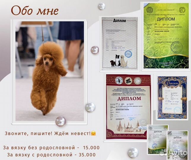 Вязка пуделя