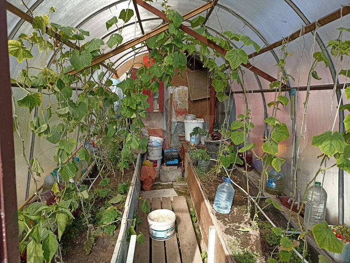 Дом 42 м² на участке 4,8 сот.