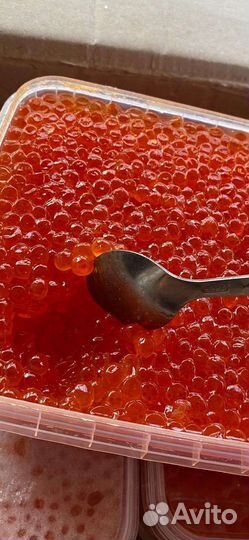 Красная икра кета2023