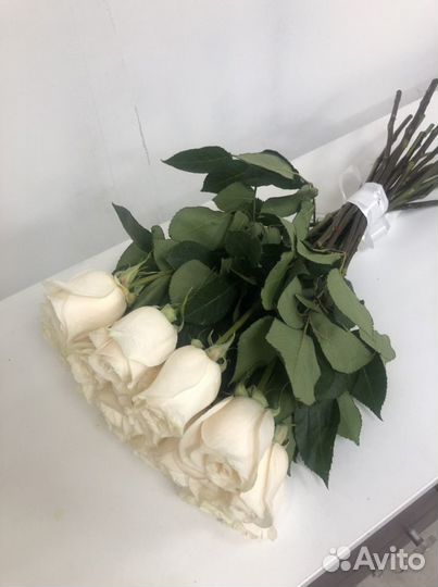 Розы 23 штуки 50 см