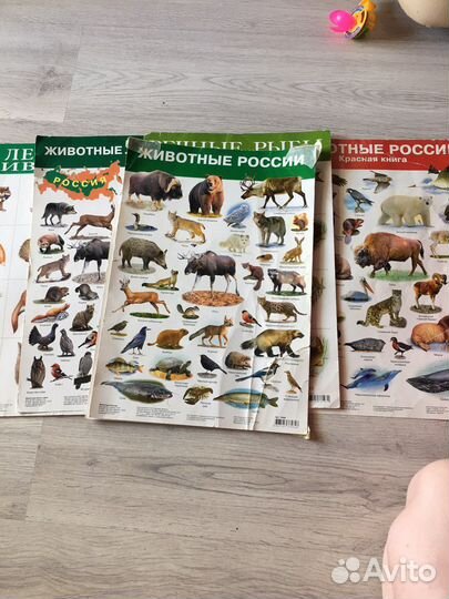 Конструктор