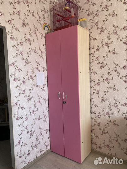 Передержка животных и выгул собак