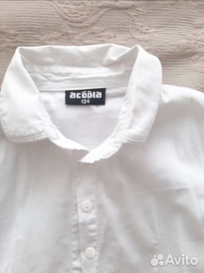 Школьная форма рубашки акула