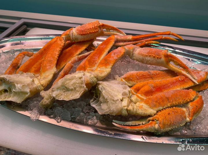 Клешни краба стригуна. Улов 2023