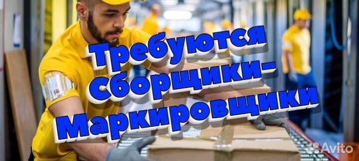 Сборщик маркировщик