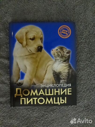 Детская энциклопедия 