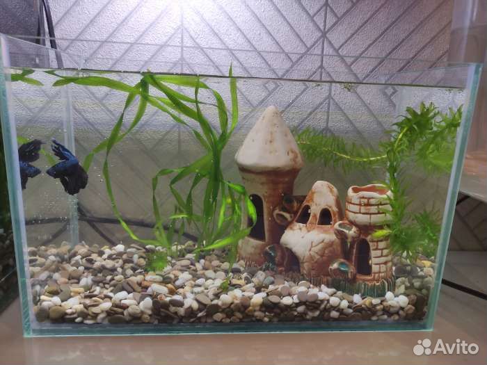 Аквариум 15 литров бу