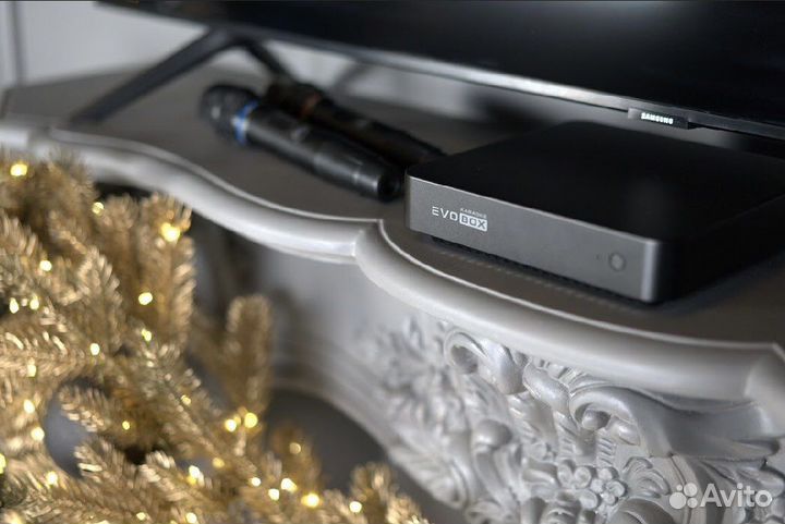Караоке Evobox + микрофоны