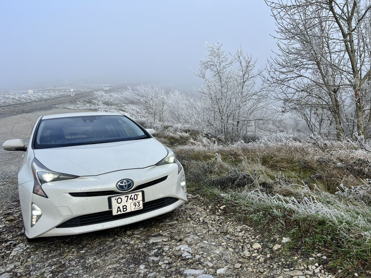 Toyota Prius: фото владельца