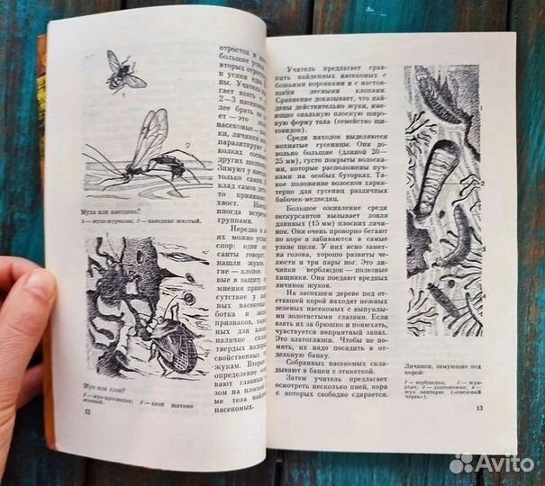 Насекомые друзья и враги деревьев и кустарников