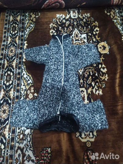 Вещи для собак маленьких пород