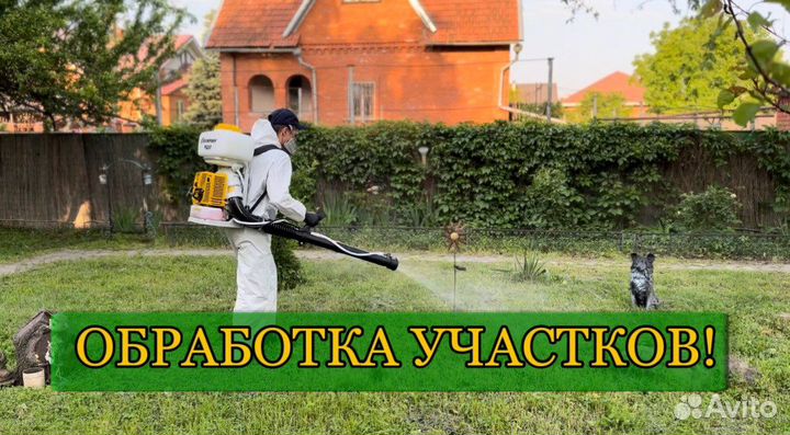 Уничтожение тараканов, клопов, блох, клещей