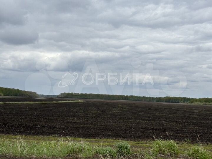 Участок 4,3 га (СНТ, ДНП)