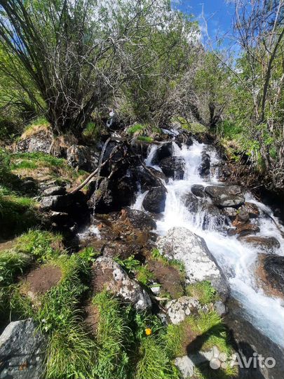 Экскурсовод по алтаю