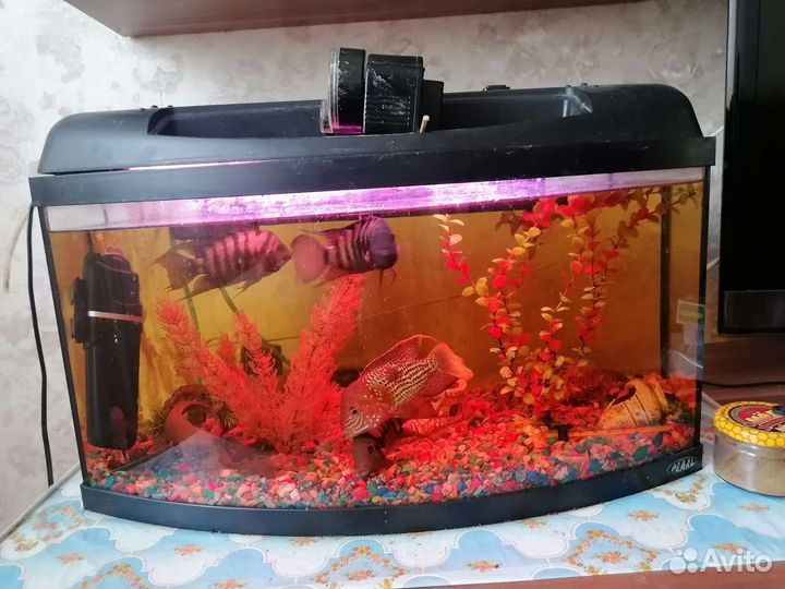Аквариум