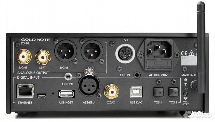 Сетевой плеер Gold Note DS-10 EVO