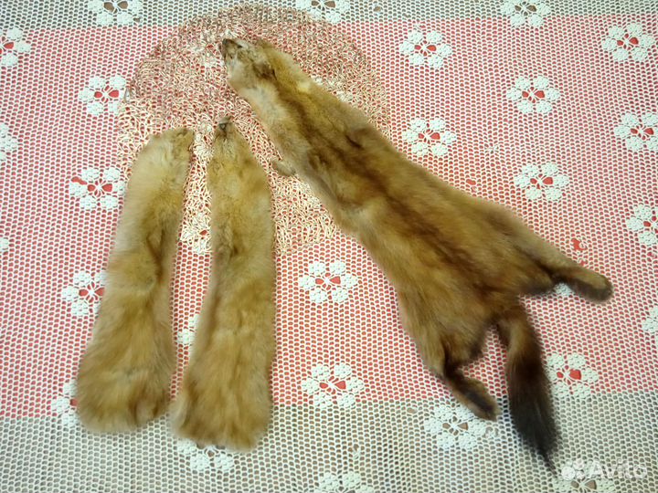 Шкурки куницы