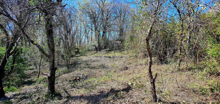 Участок 17,5 сот. (ИЖС)