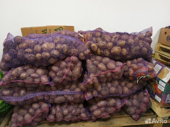 Овощи фрукты оптом и в розницу / картошка / лук