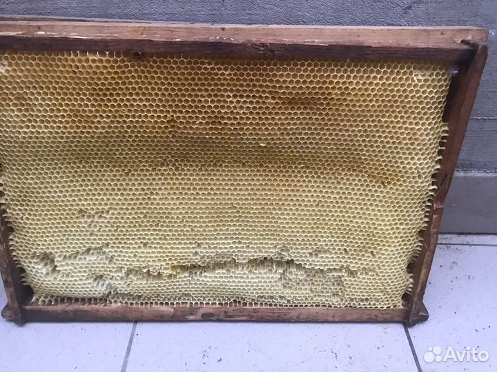 Рамки с сушью