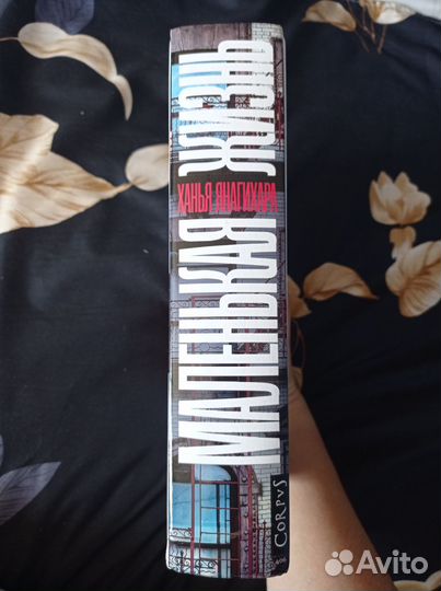 Маленькая жизнь Ханья Янагихара