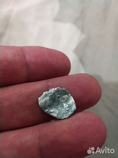 Монеты чешуя