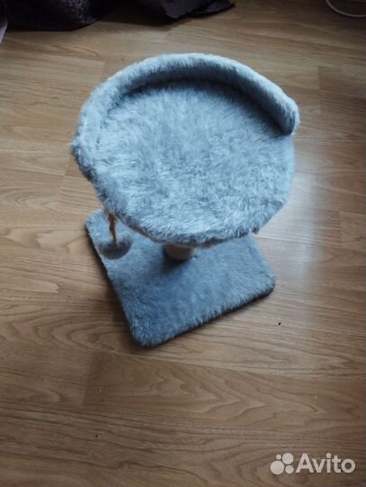 Когтеточка