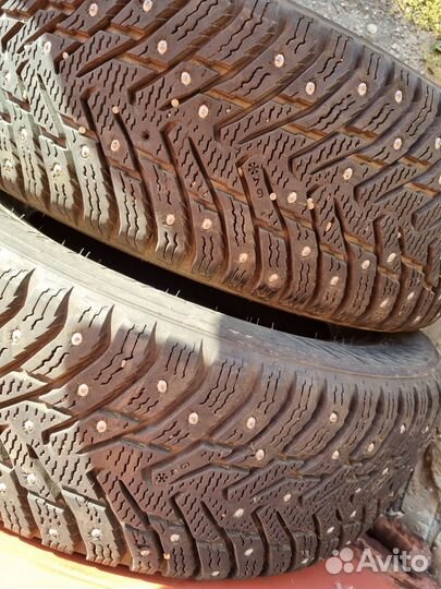 Nokian Tyres Hakkapeliitta 8 195/65 R15 95T