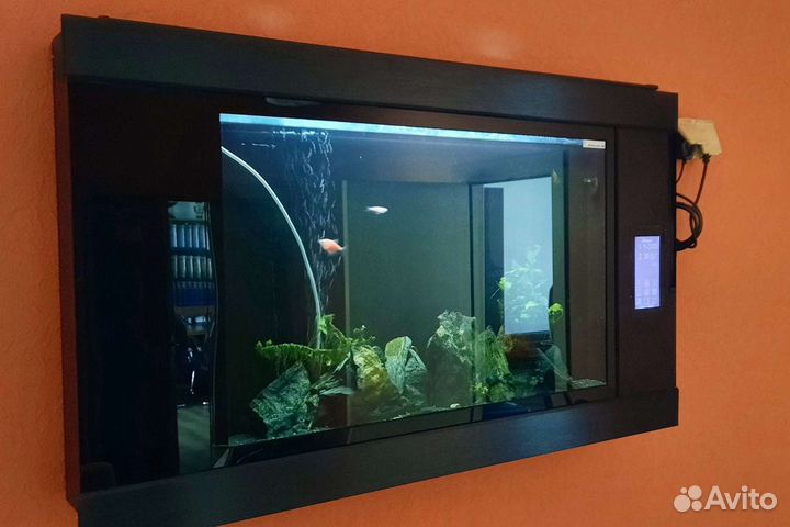 Обслуживание аквариумов чистка аквариумов