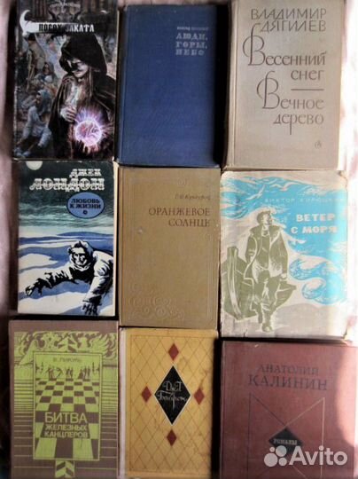 А. Бушков. Бульдожья схватка. 2000 год