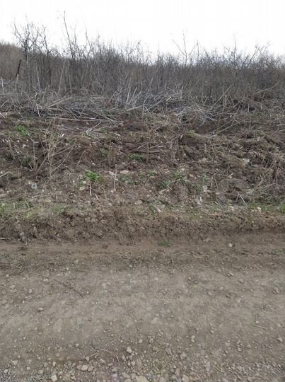 Участок 10 сот. (СНТ, ДНП)