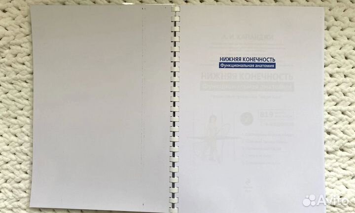 Функциональная анатомия Физиология суставов (3шт)