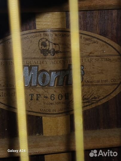 Акустическая гитара morris TF 60.Japan