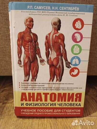 Анатомия и физиология человека