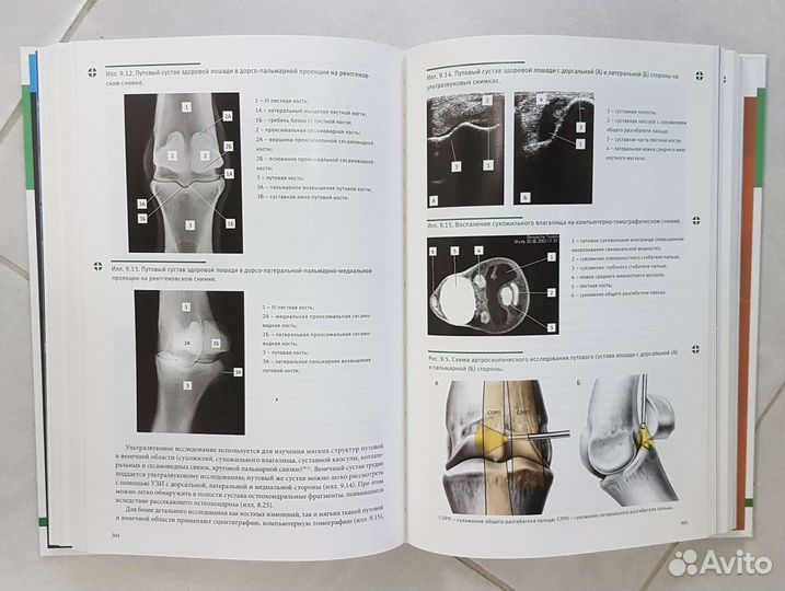 Ортопедические заболевания лошадей