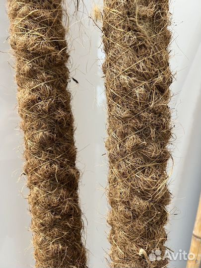 Шпалера (опора для цветов)