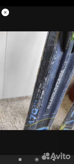 Горные лыжи