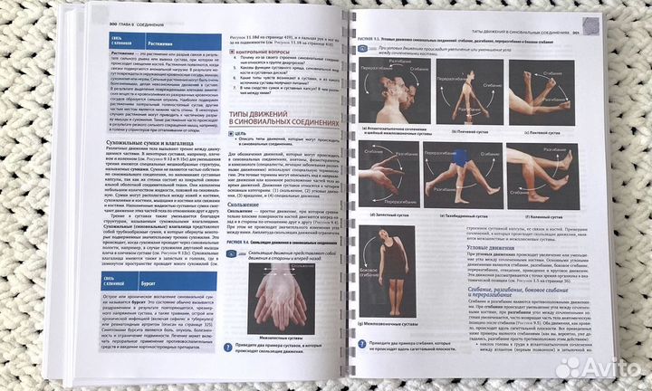 Анатомия физиология Тортора