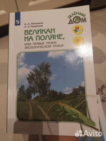 Плешаков Великан на поляне