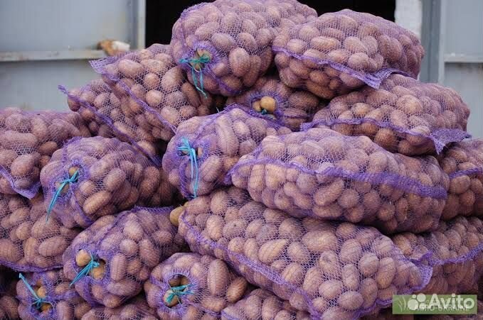 Продам картофель