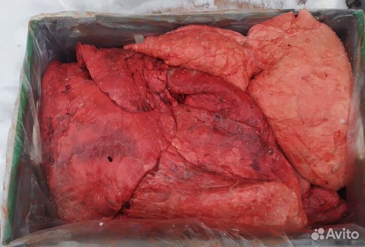 Мясо и кости для собак