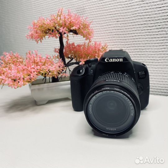 Canon eos 700d 18 55