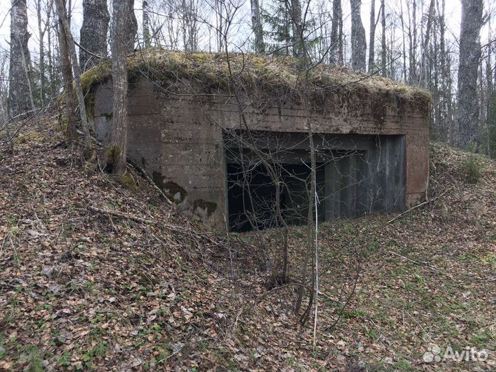 Экскурсия по местам боёв ркка под Ржевом 1941-43.г