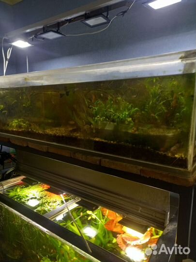 Аквариумы Jebo